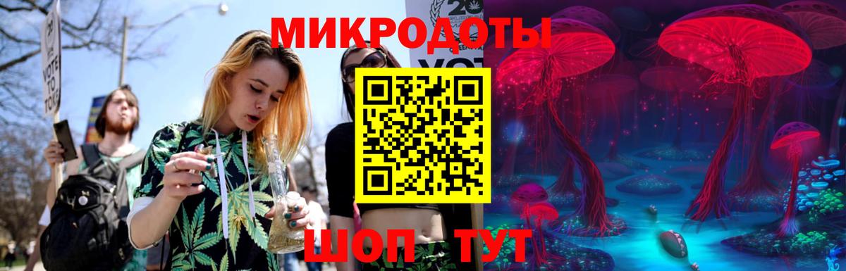 Галлюциногенные грибы Cubensis  Вход с VPN  Кропоткин  Галлюциногенные грибы мицелий 